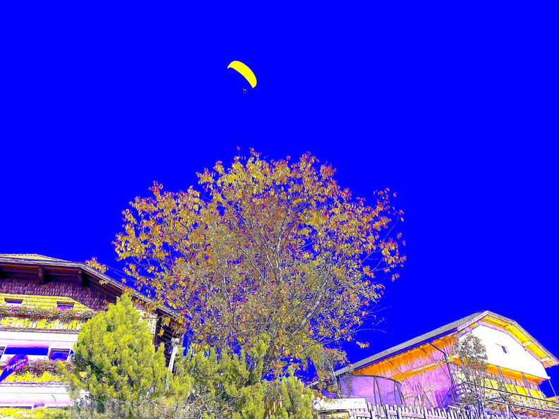 BILD-NO539