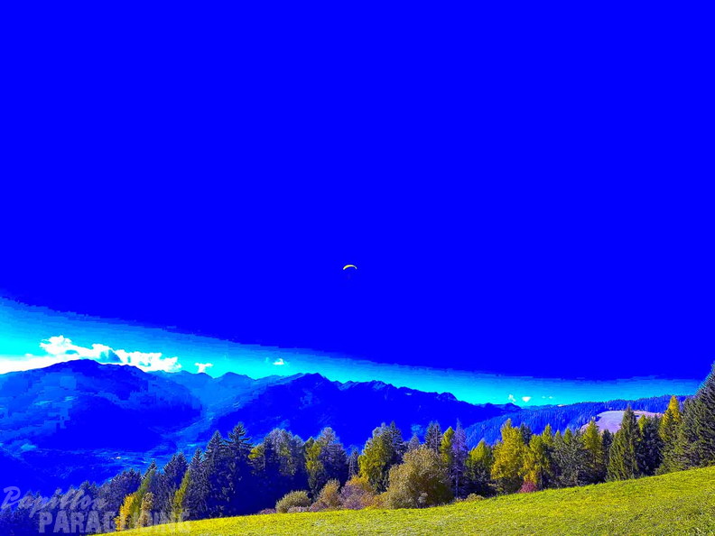 BILD-NO542