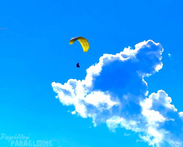 BILD-NO794
