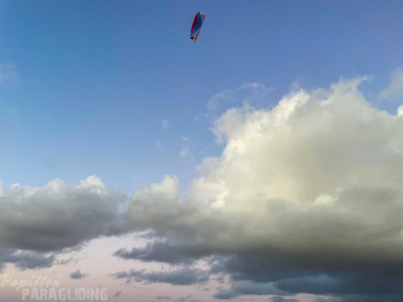 fla51.25-lanzarote-papillon-paragliding-102