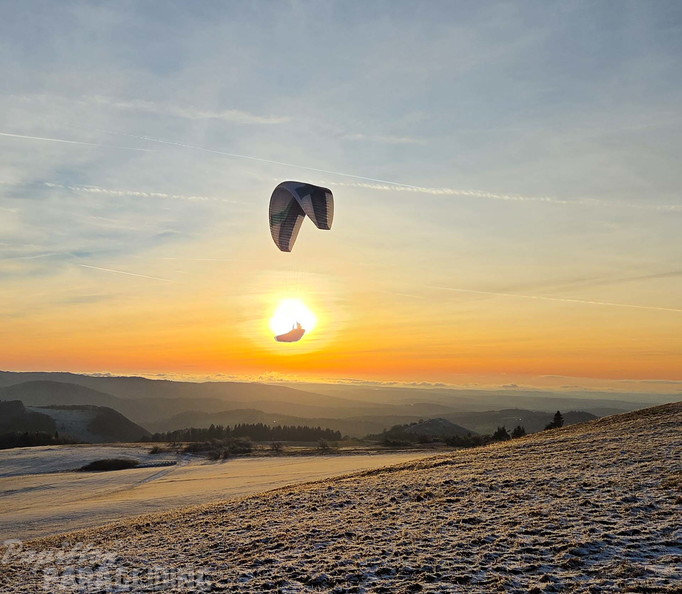 papillon-fotowettbewerb-2025-118