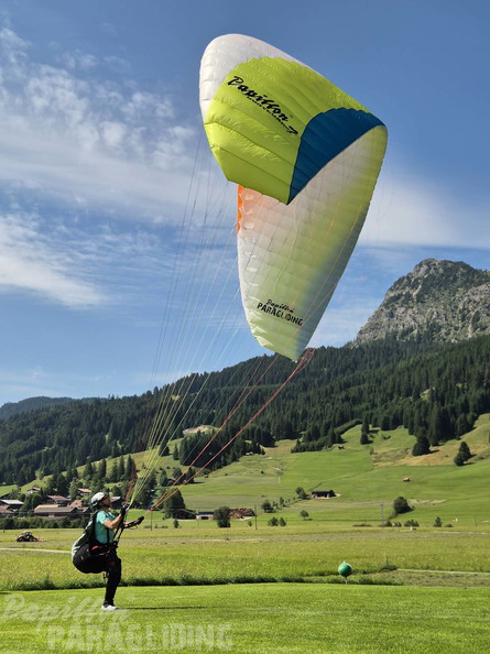 papillon-fotowettbewerb-2025-123