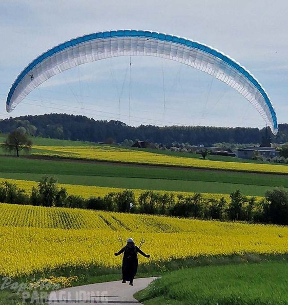 papillon-fotowettbewerb-2025-125