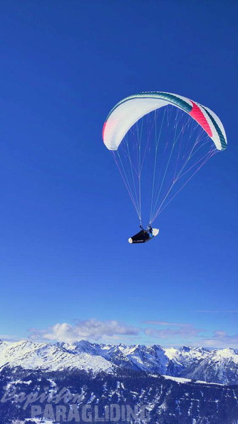 papillon-fotowettbewerb-2025-133