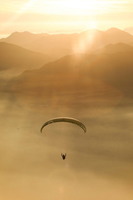 papillon-fotowettbewerb-2025-136