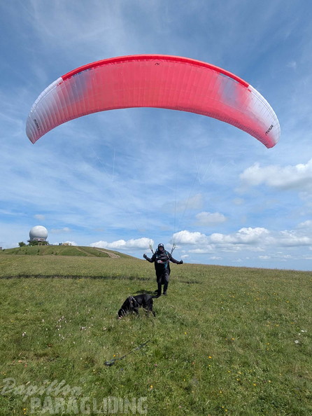 papillon-fotowettbewerb-2025-138