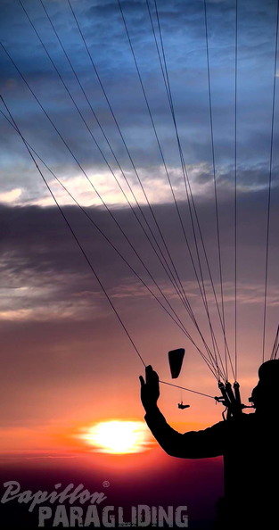 papillon-fotowettbewerb-2025-200