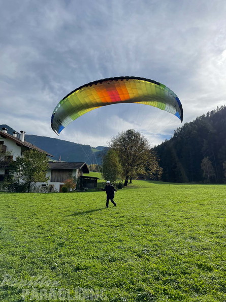 papillon-fotowettbewerb-2025-202