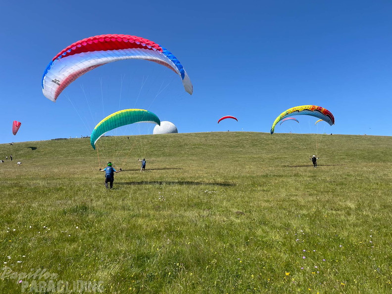 papillon-fotowettbewerb-2025-207