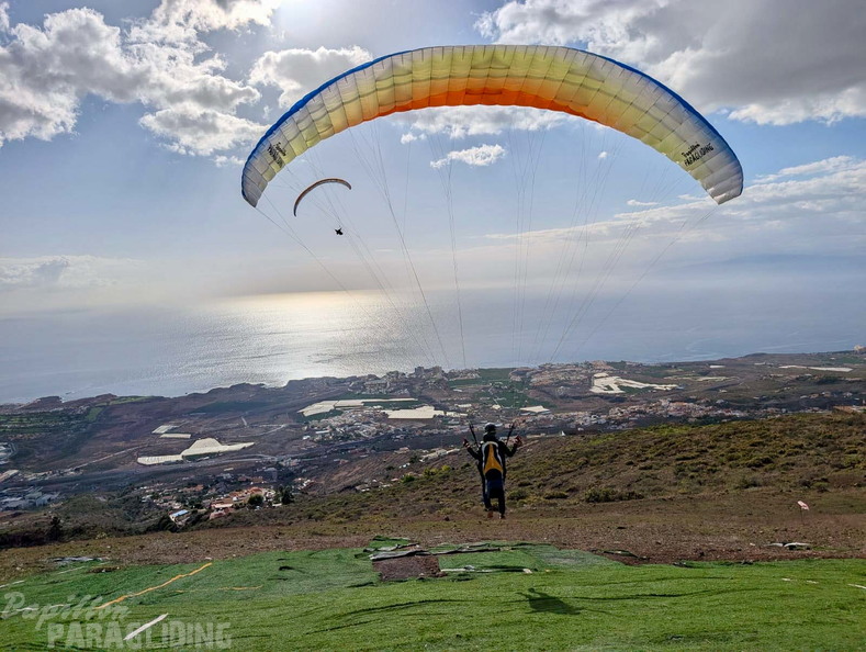 papillon-fotowettbewerb-2025-214