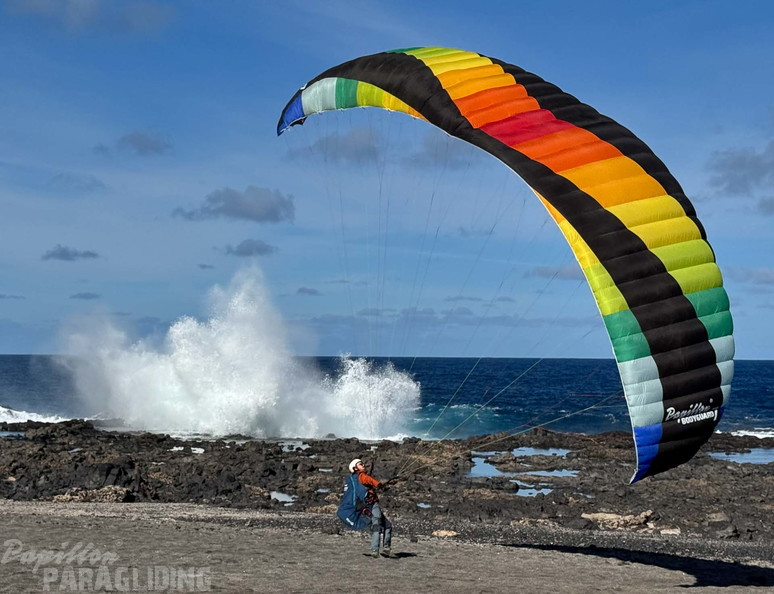 papillon-fotowettbewerb-2025-216