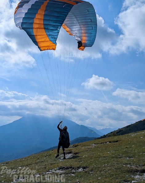 papillon-fotowettbewerb-2025-218