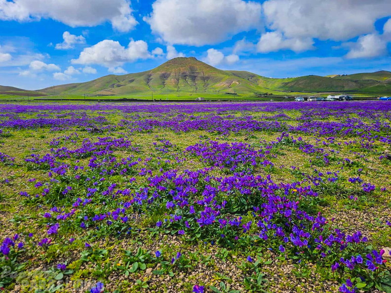 fla6.26-paragliding-lanzarote-111