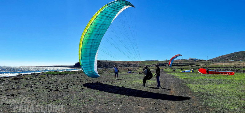 fla7.26-papillon-paragliding-114