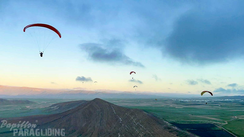 fla7.26-papillon-paragliding-108