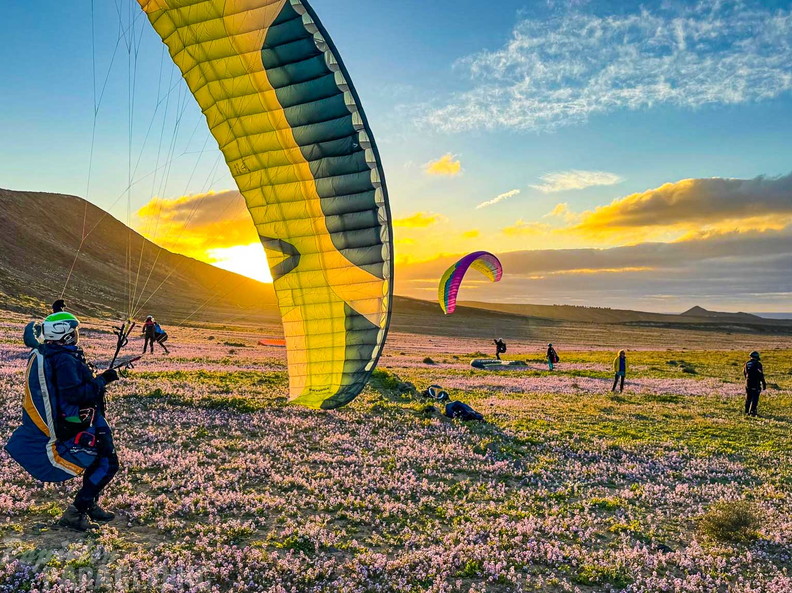 fla8.26-paragliding-lanzarote-112