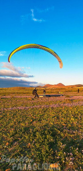 fla8.26-paragliding-lanzarote-117