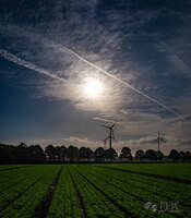 wks36.26-windenkurs-sevelen-(c)-dirk-kunesch-101