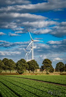 wks36.26-windenkurs-sevelen-(c)-dirk-kunesch-108