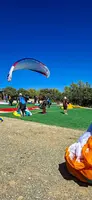 fa44.26-algodonales-papillon-142