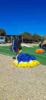 fa44.26-algodonales-papillon-148