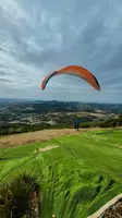 fa44.26-algodonales-papillon-179