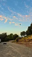 fa44.26-algodonales-papillon-183