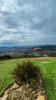 fa44.26-algodonales-papillon-184
