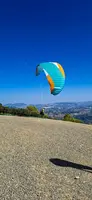 fa44.26-algodonales-papillon-189