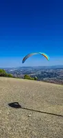 fa44.26-algodonales-papillon-190