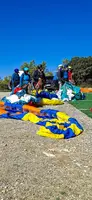 fa44.26-algodonales-papillon-136