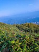 fcn39.26-china-paragliding-reise-papillon-274
